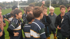 Candor3_Sponsor Auckland Grammer Rugby