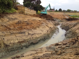 November 2013 - Mucking out of existing gulley